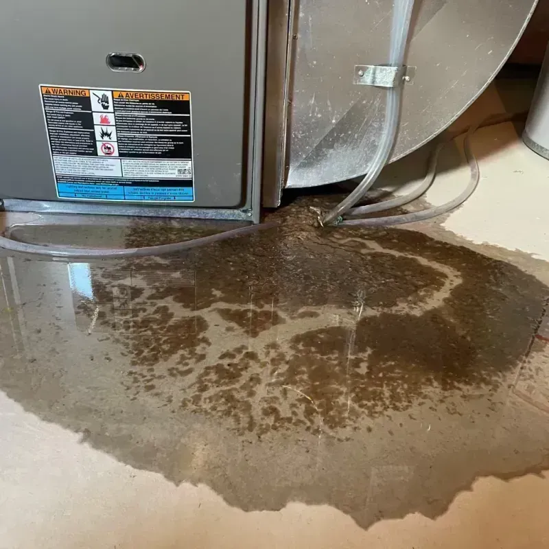 Appliance Leak Cleanup in Lewistown, IL